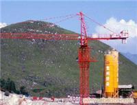 貴陽(yáng)塔吊出租服務(wù)——重慶中建機(jī)械制造（貴州、云南片區(qū)）專業(yè)塔機(jī)租賃